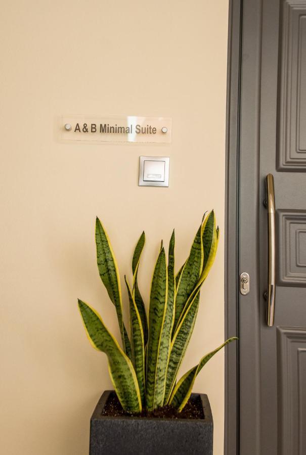 A & B Minimal Suite Ιι With Sea View In Argostoli Eksteriør bilde